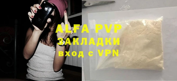 стафф Арсеньев