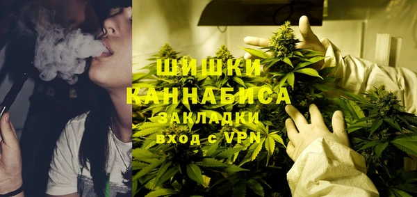 стафф Арсеньев