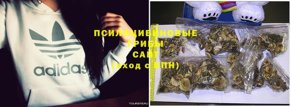 стафф Арсеньев
