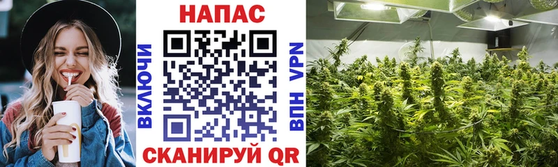 Купить где Суровикино Конопля конопля